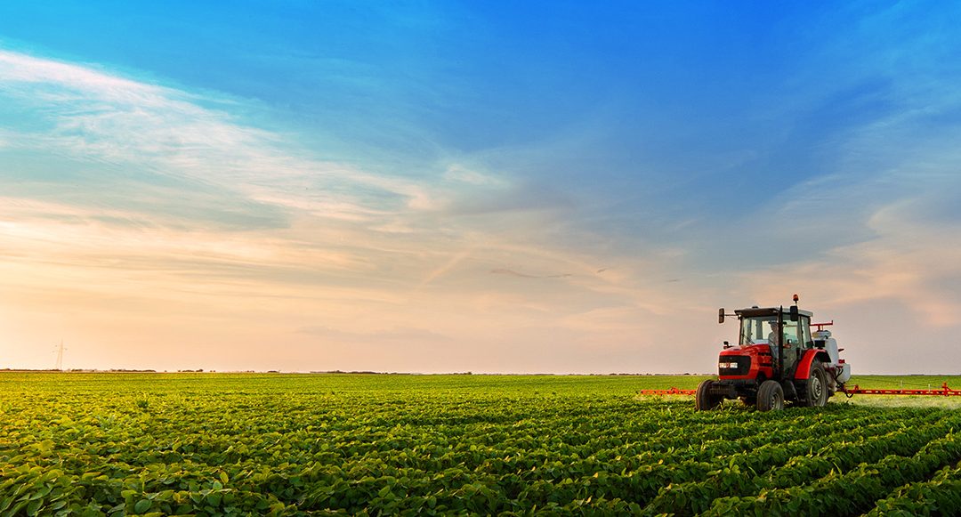 Harvests in the Balance – Global Agriculture in July 2025 and the Road to 2026