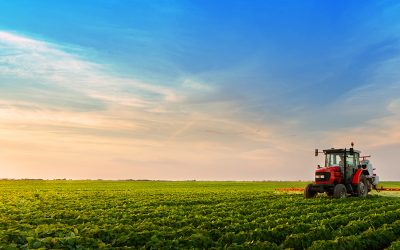 Le souffle des récoltes – Agriculture mondiale, juillet 2025 et l’avenir jusqu’en 2026