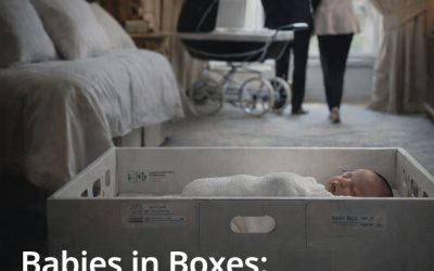 BABIES IN BOXES: ANATOMY OF IMBALANCE, “WOMEN FOR SUSTAINABLE WORLD” PROJECT